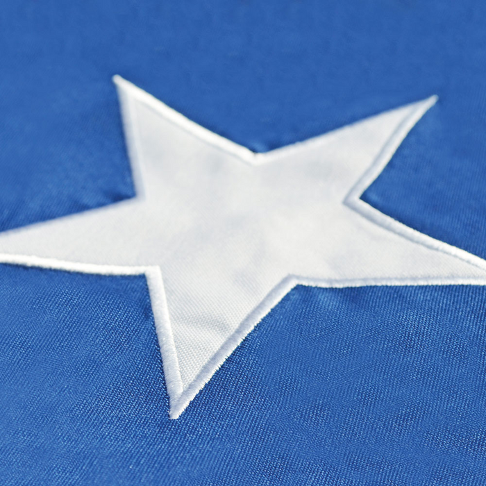 Bandera Chilena - Bordada
